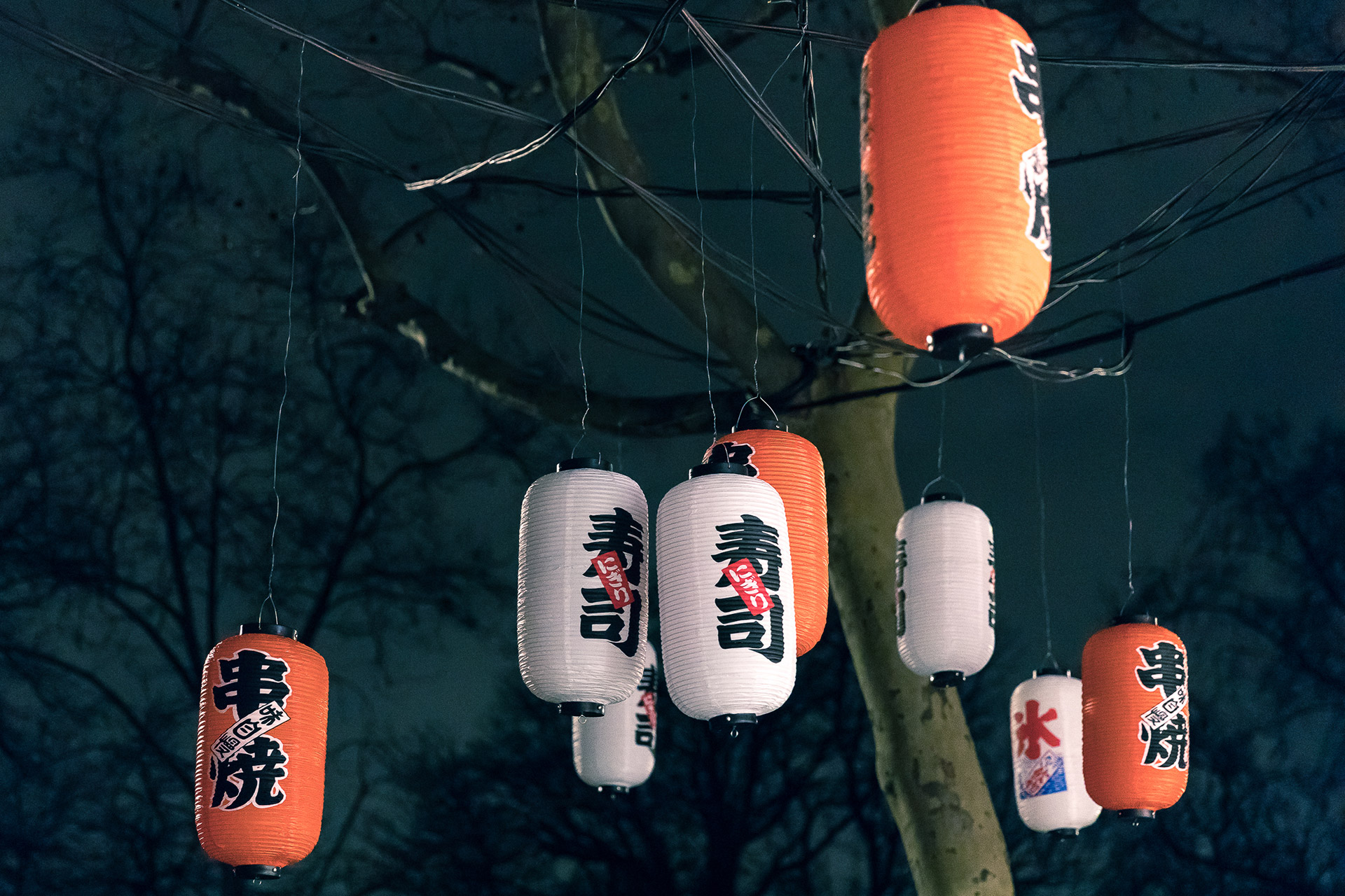 VOLONTIERS RAF SIMONS THE BROKEN ARM